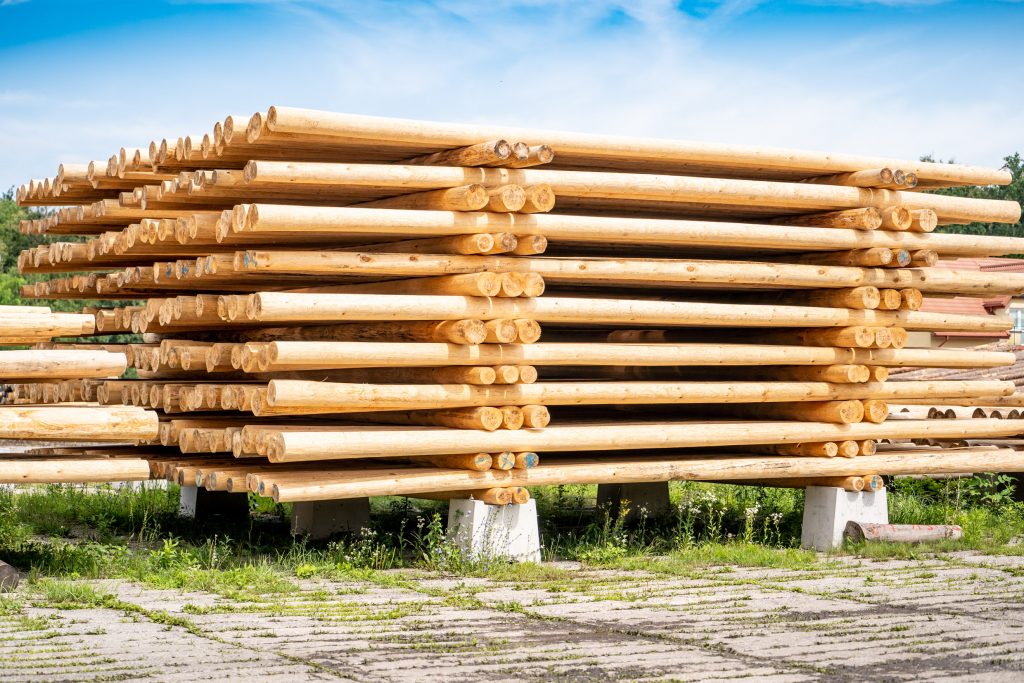 zakład drzewny MyTimber