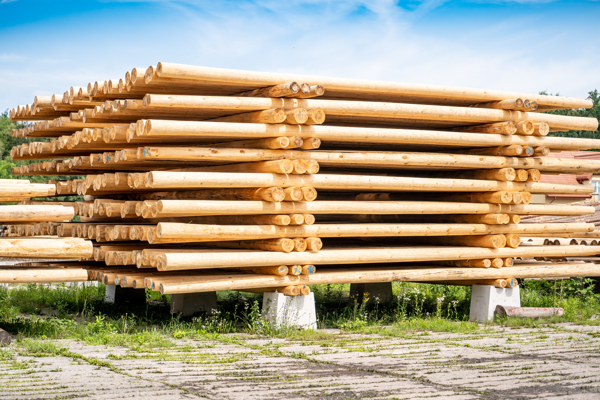 zakład drzewny MyTimber