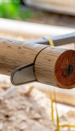 zakład drzewny MyTimber