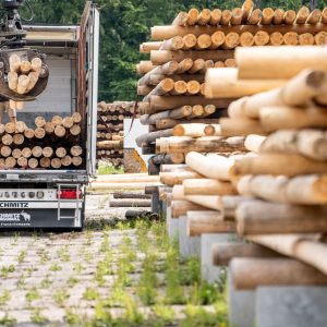 zakład drzewny MyTimber